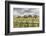 Temples in Erdene Zuu Monastery, Harhorin, South Hangay province, Mongolia, Central Asia, Asia-Francesco Vaninetti-Framed Photographic Print