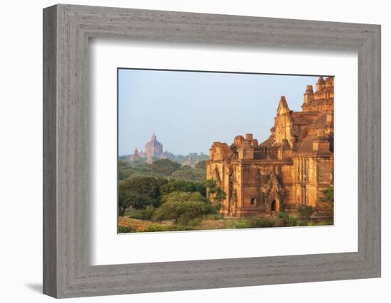 Temples of Bagan (Pagan), Myanmar (Burma), Asia-Jordan Banks-Framed Photographic Print