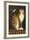 Temptation I (Cat)-Diane Ulmer Pedersen-Framed Giclee Print