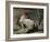 Temptation of Saint Anthony-Giovanni Battista Tiepolo-Framed Giclee Print