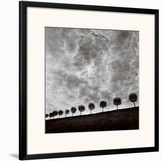 Ten and a Half Trees, Peterhof, Russia, 2000-Michael Kenna-Framed Art Print