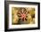 Ten-lined urchin nestled on a reef, Hawaii-David Fleetham-Framed Photographic Print