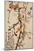 Ten Spring Flowers-Gao Qifeng-Mounted Giclee Print