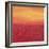 Ten Sunsets - Canvas 7-Hilary Winfield-Framed Premium Giclee Print