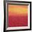 Ten Sunsets - Canvas 7-Hilary Winfield-Framed Premium Giclee Print