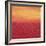 Ten Sunsets - Canvas 7-Hilary Winfield-Framed Premium Giclee Print