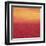 Ten Sunsets - Canvas 7-Hilary Winfield-Framed Giclee Print