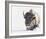 Tenacity-Wink Gaines-Framed Giclee Print