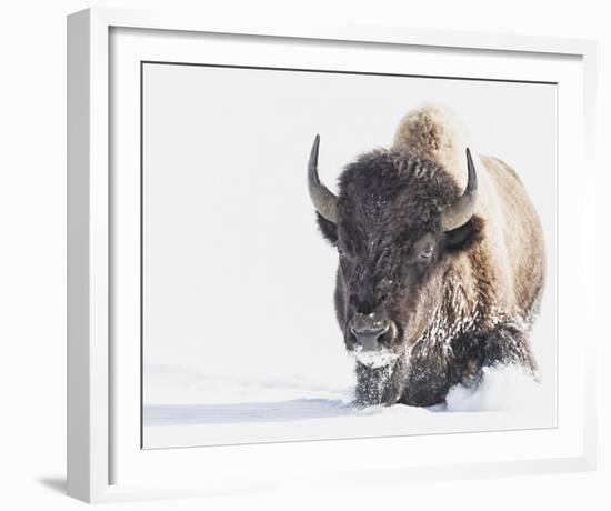 Tenacity-Wink Gaines-Framed Giclee Print