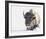 Tenacity-Wink Gaines-Framed Giclee Print