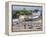 Tenby Harbour, Tenby, Pembrokeshire, Wales, United Kingdom, Europe-David Clapp-Framed Premier Image Canvas