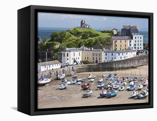 Tenby Harbour, Tenby, Pembrokeshire, Wales, United Kingdom, Europe-David Clapp-Framed Premier Image Canvas