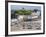 Tenby Harbour, Tenby, Pembrokeshire, Wales, United Kingdom, Europe-David Clapp-Framed Photographic Print