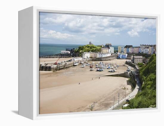 Tenby Harbour, Tenby, Pembrokeshire, Wales, United Kingdom, Europe-David Clapp-Framed Premier Image Canvas