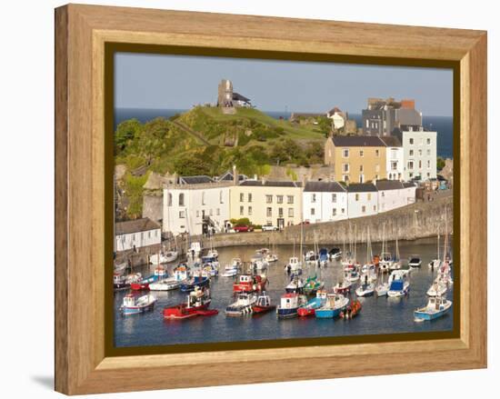 Tenby Harbour, Tenby, Pembrokeshire, Wales, United Kingdom, Europe-David Clapp-Framed Premier Image Canvas