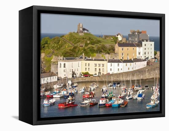 Tenby Harbour, Tenby, Pembrokeshire, Wales, United Kingdom, Europe-David Clapp-Framed Premier Image Canvas