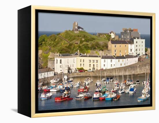 Tenby Harbour, Tenby, Pembrokeshire, Wales, United Kingdom, Europe-David Clapp-Framed Premier Image Canvas