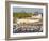 Tenby Harbour, Tenby, Pembrokeshire, Wales, United Kingdom, Europe-David Clapp-Framed Photographic Print