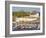 Tenby Harbour, Tenby, Pembrokeshire, Wales, United Kingdom, Europe-David Clapp-Framed Photographic Print