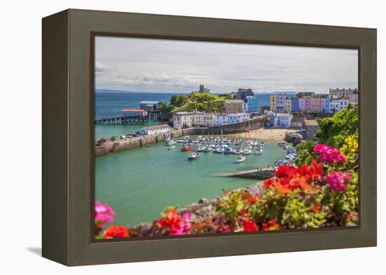 Tenby, Pembrokeshire, Wales, United Kingdom, Europe-Billy Stock-Framed Premier Image Canvas