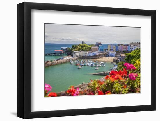 Tenby, Pembrokeshire, Wales, United Kingdom, Europe-Billy Stock-Framed Photographic Print