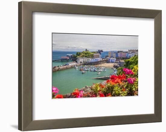 Tenby, Pembrokeshire, Wales, United Kingdom, Europe-Billy Stock-Framed Photographic Print