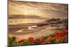 Tenby, Pembrokeshire, Wales, United Kingdom, Europe-Billy Stock-Mounted Photographic Print