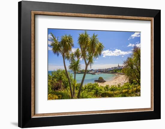 Tenby, Pembrokeshire, Wales, United Kingdom, Europe-Billy Stock-Framed Photographic Print