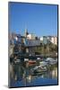 Tenby, West Wales, Pembrokeshire, Wales, United Kingdom-Billy Stock-Mounted Photographic Print