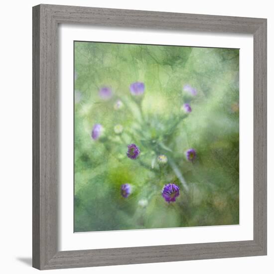 Tender Buds-Viviane Fedieu Daniel-Framed Photographic Print