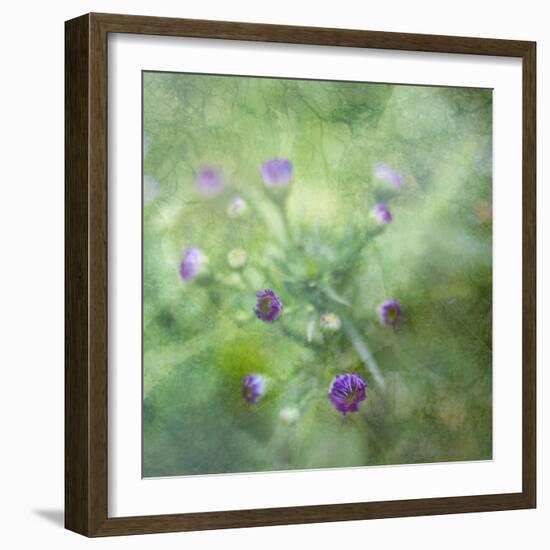 Tender Buds-Viviane Fedieu Daniel-Framed Photographic Print