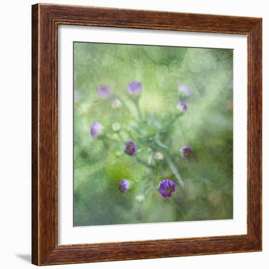 Tender Buds-Viviane Fedieu Daniel-Framed Photographic Print