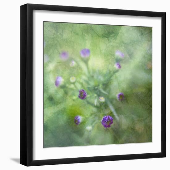 Tender Buds-Viviane Fedieu Daniel-Framed Photographic Print