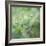 Tender Buds-Viviane Fedieu Daniel-Framed Photographic Print