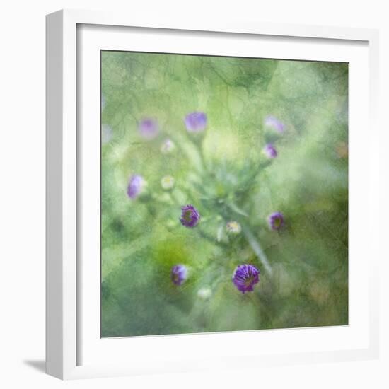 Tender Buds-Viviane Fedieu Daniel-Framed Photographic Print