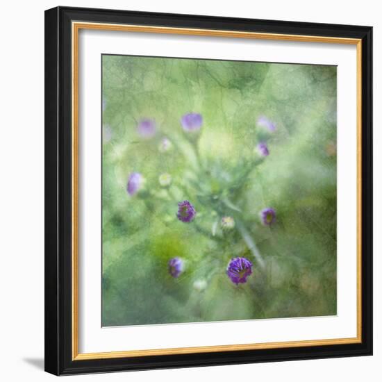 Tender Buds-Viviane Fedieu Daniel-Framed Photographic Print