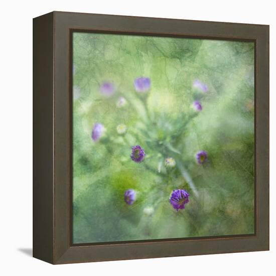 Tender Buds-Viviane Fedieu Daniel-Framed Premier Image Canvas