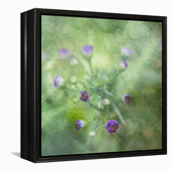 Tender Buds-Viviane Fedieu Daniel-Framed Premier Image Canvas