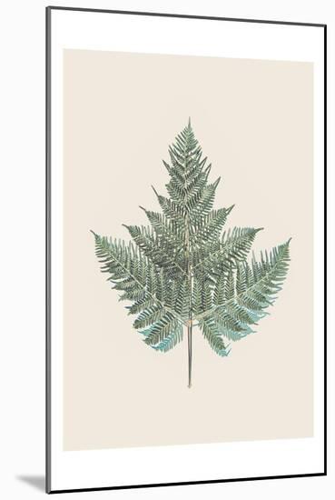 Tender Fern-Urban Epiphany-Mounted Art Print