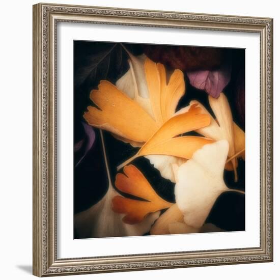 Tender Gingko-Philippe Sainte-Laudy-Framed Photographic Print