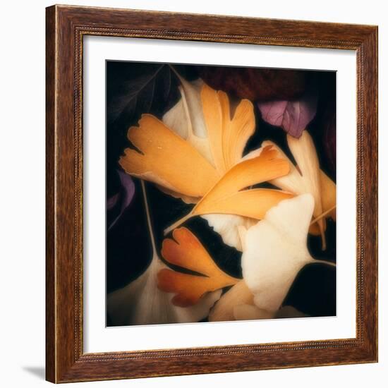 Tender Gingko-Philippe Sainte-Laudy-Framed Photographic Print