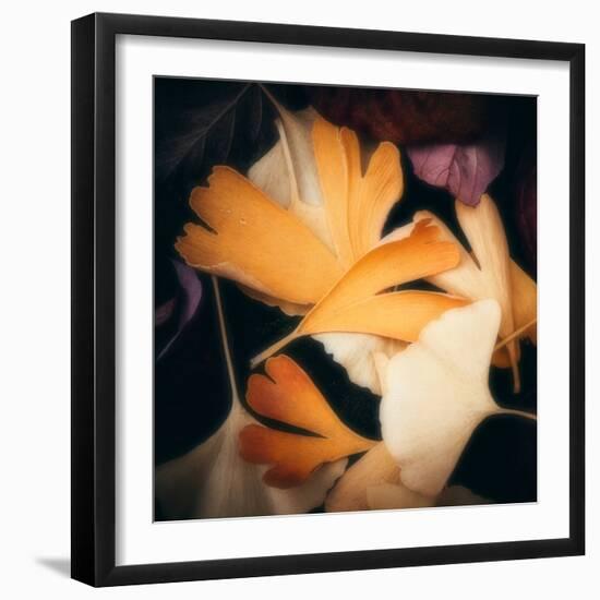 Tender Gingko-Philippe Sainte-Laudy-Framed Photographic Print