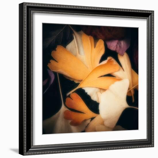 Tender Gingko-Philippe Sainte-Laudy-Framed Photographic Print