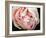 Tender Heart-Helen White-Framed Photographic Print