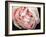 Tender Heart-Helen White-Framed Photographic Print