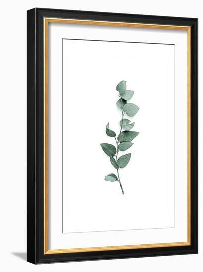 Tender Leaves 3-Urban Epiphany-Framed Art Print