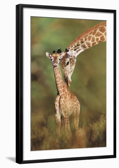 Tender Love-Steve Bloom-Framed Art Print