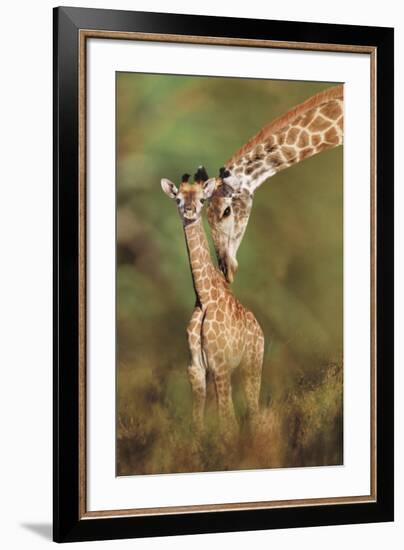 Tender Love-Steve Bloom-Framed Art Print