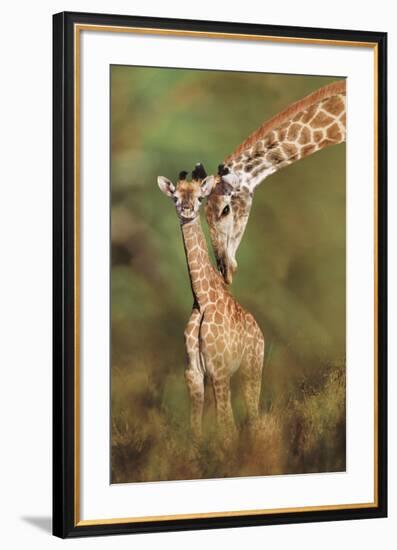 Tender Love-Steve Bloom-Framed Art Print