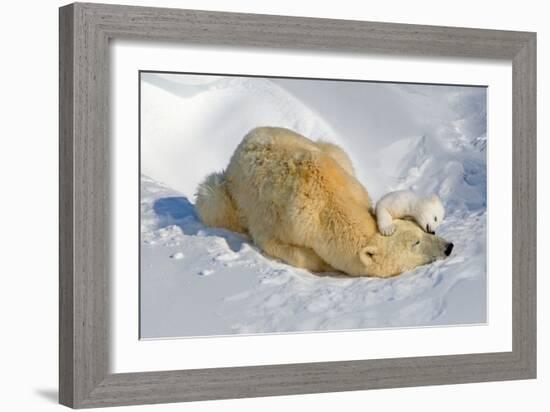 Tender Moment with Mother and Cub-Howard Ruby-Framed Photographic Print